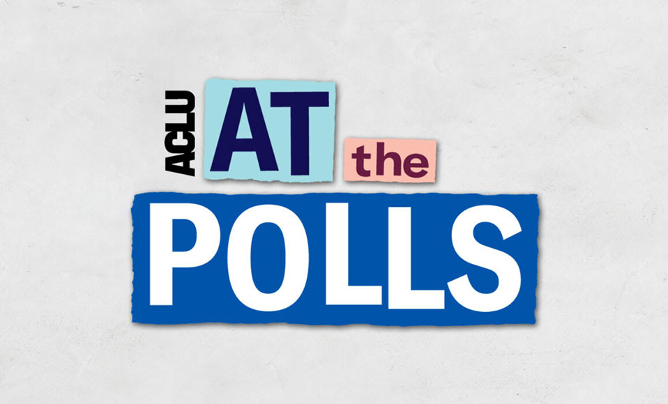 At the Polls logo