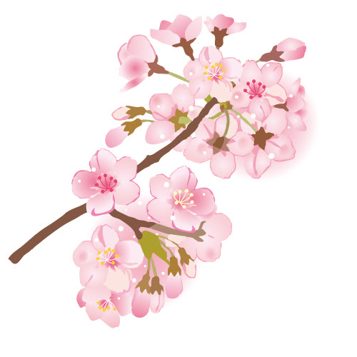 すべてのイラスト画像 50 素晴らしい桜 フリー素材 イラスト 透過