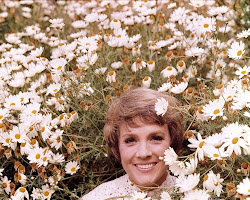 Julie Andrews Hour (1972-1973) TV show poster