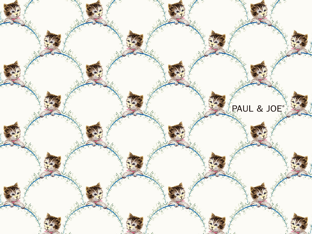 ディズニー画像ランド 最高paul Joe 猫 壁紙