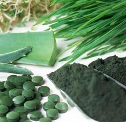 PV-02-chlorella-foto