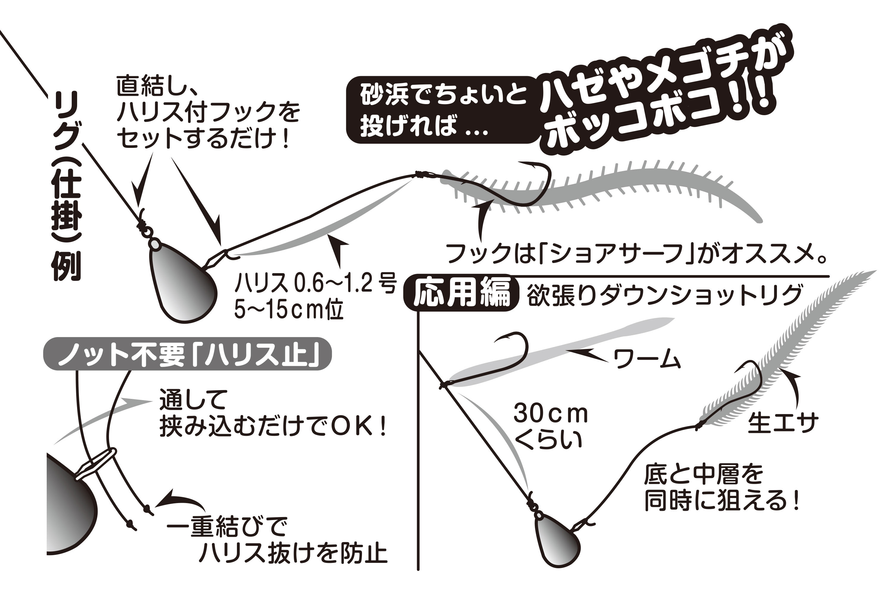 エレガントダウンショット シンカー 重さ すべての魚の画像