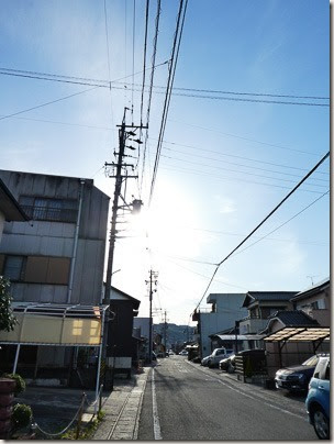 288_P1120044-288dev