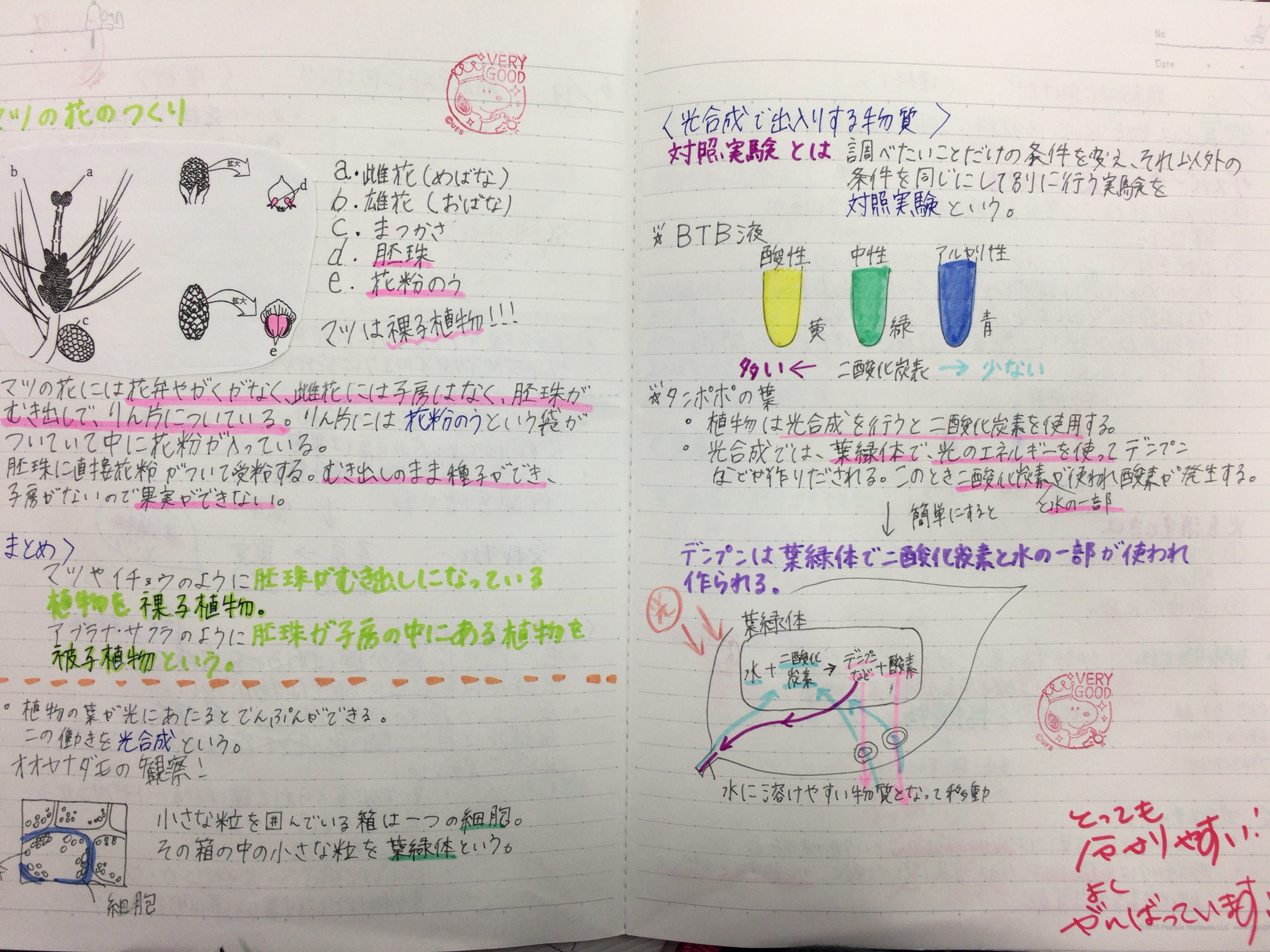 過激派 崩壊 閲覧する 理科 自主 学習 ノート Fukunaga Cl Jp