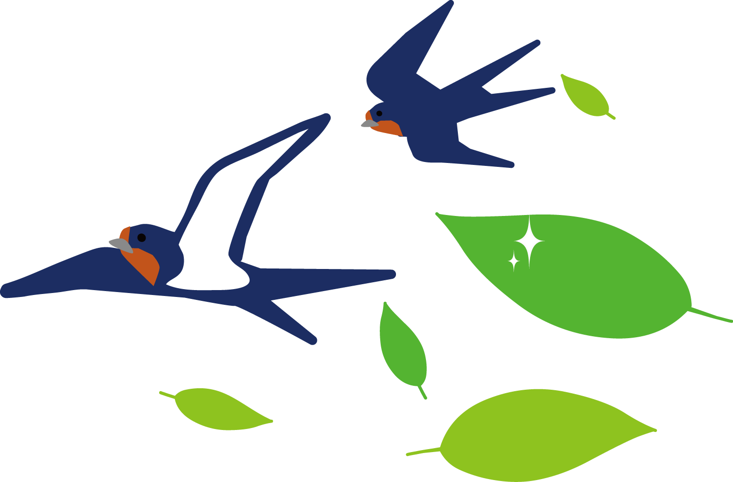 すべての動物の画像 50 素晴らしい燕 イラスト