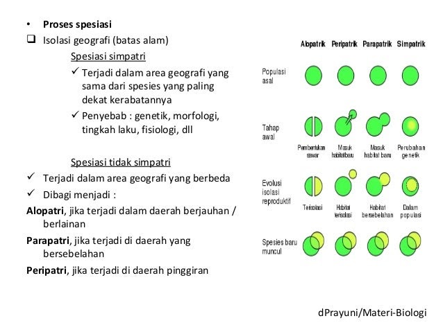 Contoh Analogi Kehidupan - Contoh KR