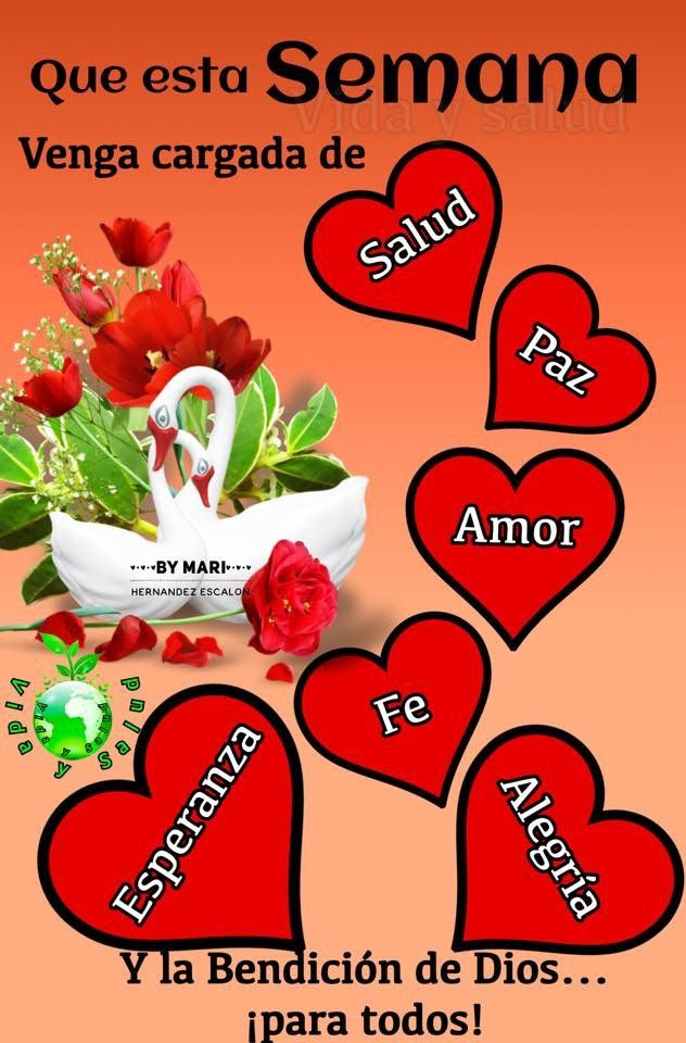 É preciso manter a energia lá em cima para assim, separamos para você uma lista com animadoras frases de bom início de semana para compartilhar com a galera, erguer a cabeça e. Frases Cristianas Feliz Inicio De Semana Para Whatsapp Celular Imagenes De Bonitas Para Descargar Gratis