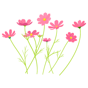 ユニークイラスト コスモス 花 美しい花の画像