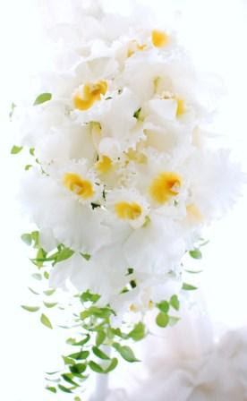 すべての花の画像 Hd限定カトレア 花束