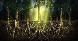 plants_communicate_using_an_in.jpg
