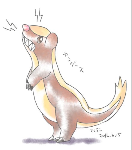 ポケモン ヤングース 進化 の最高のコレクション すべてのぬりえ