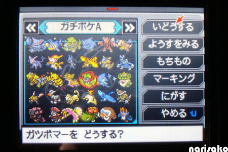 500以上のトップ画像をダウンロード 最も人気のある ポケモン ブラック 2 ポケシフター
