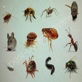 Filter by location to see pest control technician salaries in your area. Tino Pest Control Reviewing Pest Control Companies