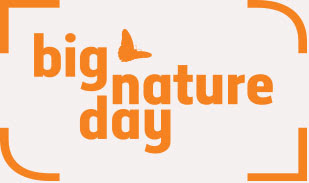 Big Nature Day logo