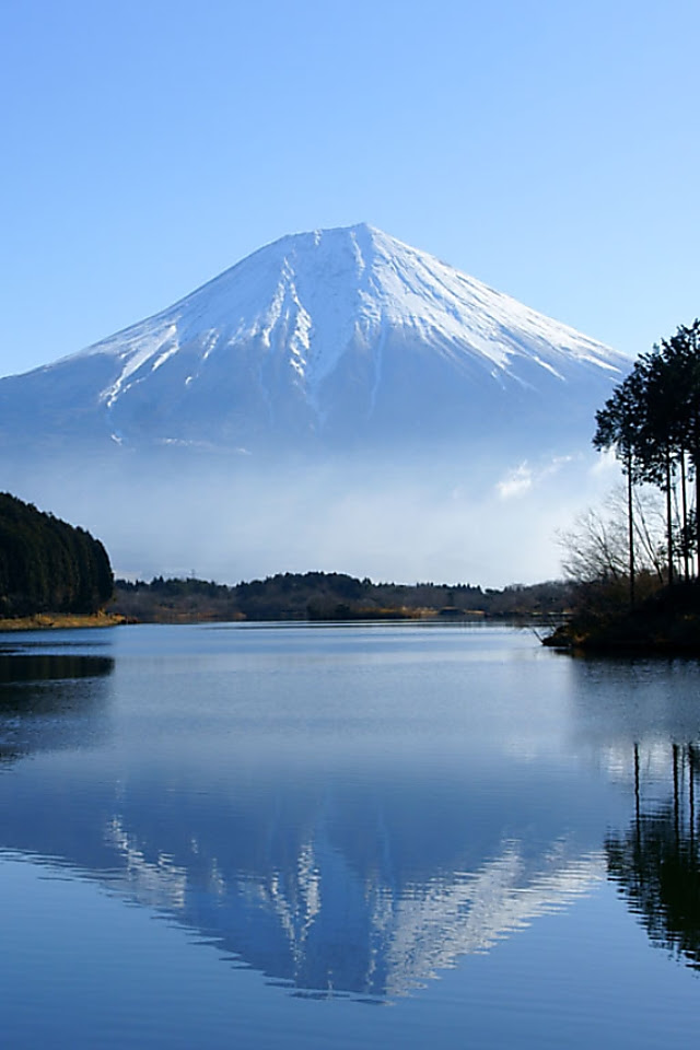 すべての美しい花の画像 新鮮なスマホ 壁紙 風景 高画質