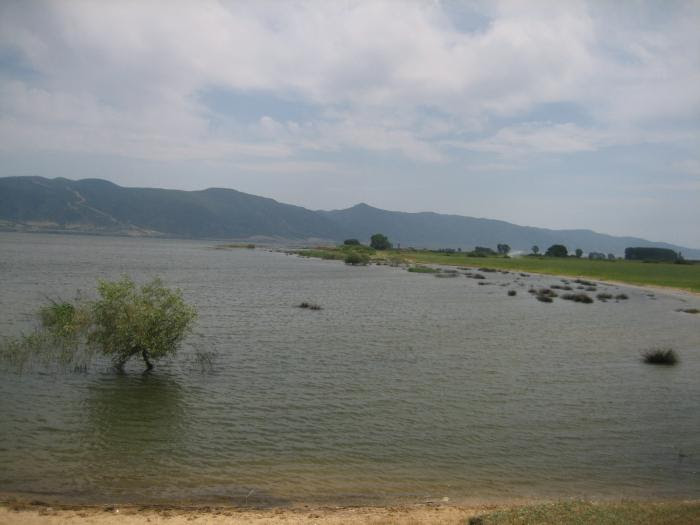 The seat of the municipality is the town stavros. Volvi See