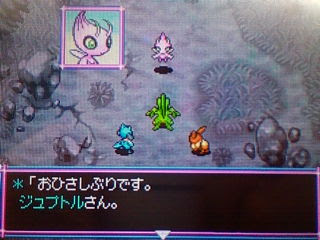 年のベスト ポケモン セレビィ 色 違い 100 で最高の画像