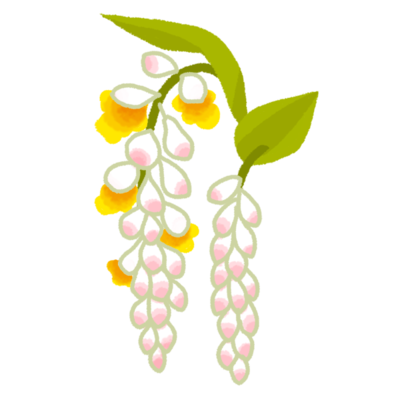 Freemuryoqbyidf 選択した画像 花 沖縄 イラスト フリー