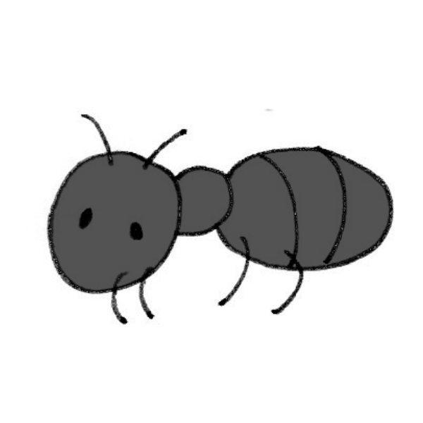 50 蟻 イラスト 最高の動物画像