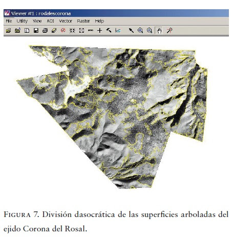 A continuación, te decimos en qué época del año hay frío y cuándo hay mucho calor. Utilizacion De Imagenes De Satelite En El Manejo Forestal Del Noreste De Mexico
