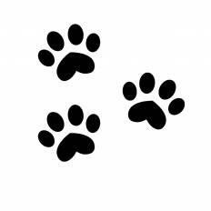 無料イラスト画像 最新猫 足跡 イラスト