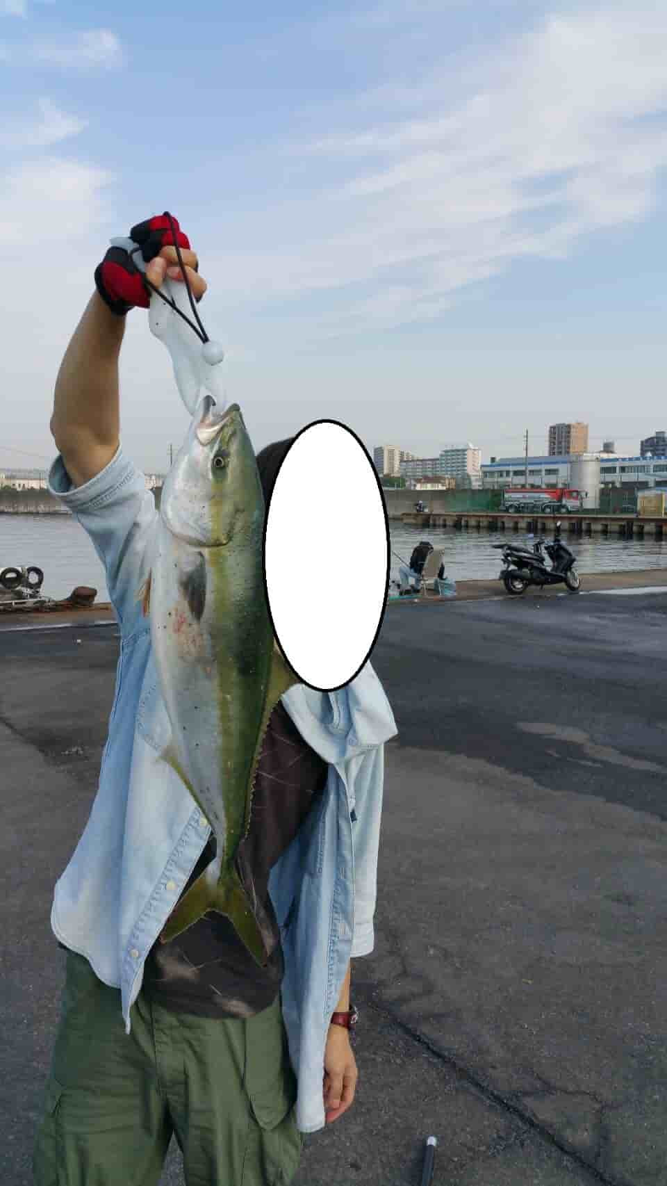 最新のhdショアジギ ング 釣果 魚のすべて