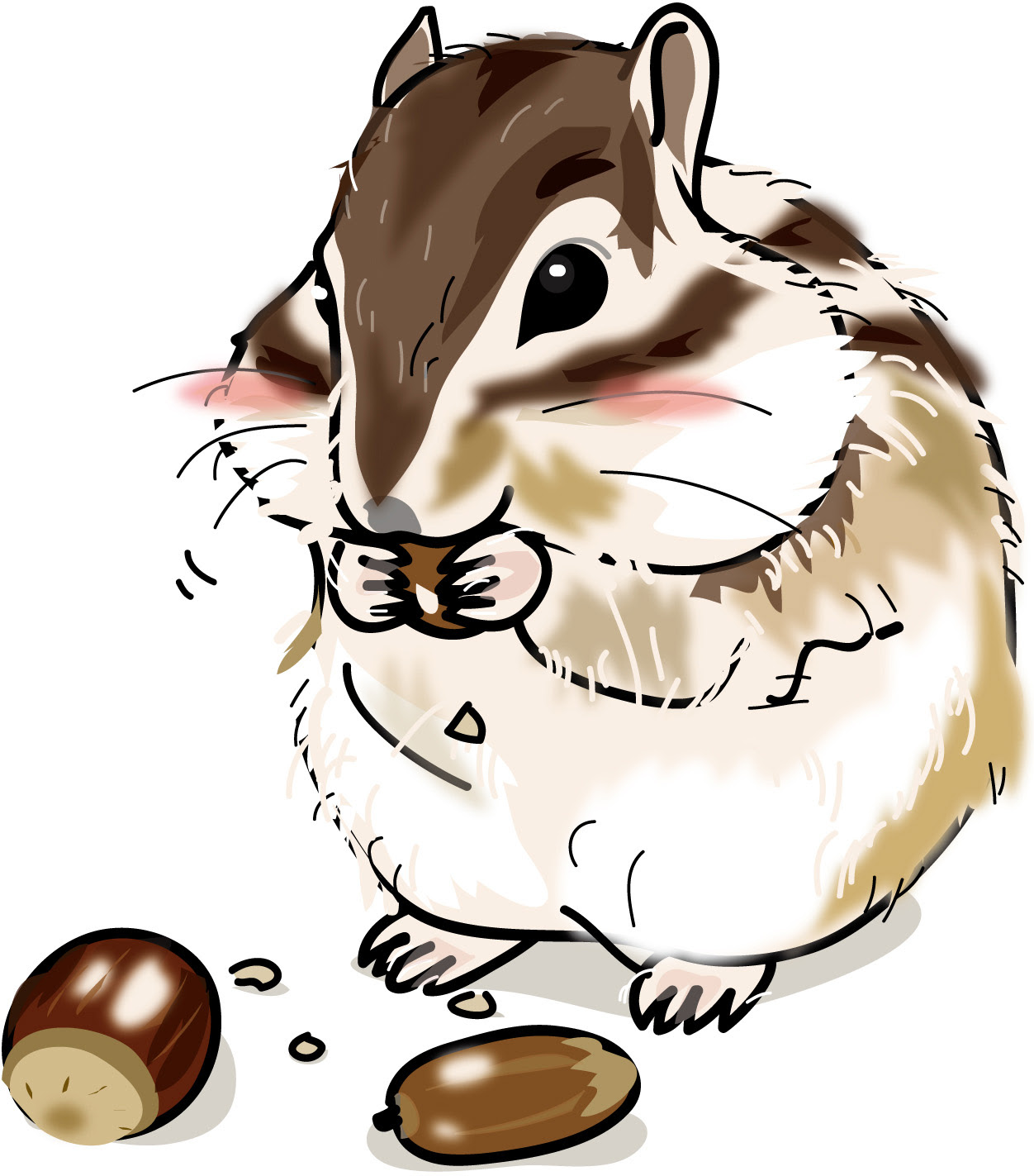 かわいい動物画像 心に強く訴えるりす イラスト 可愛い