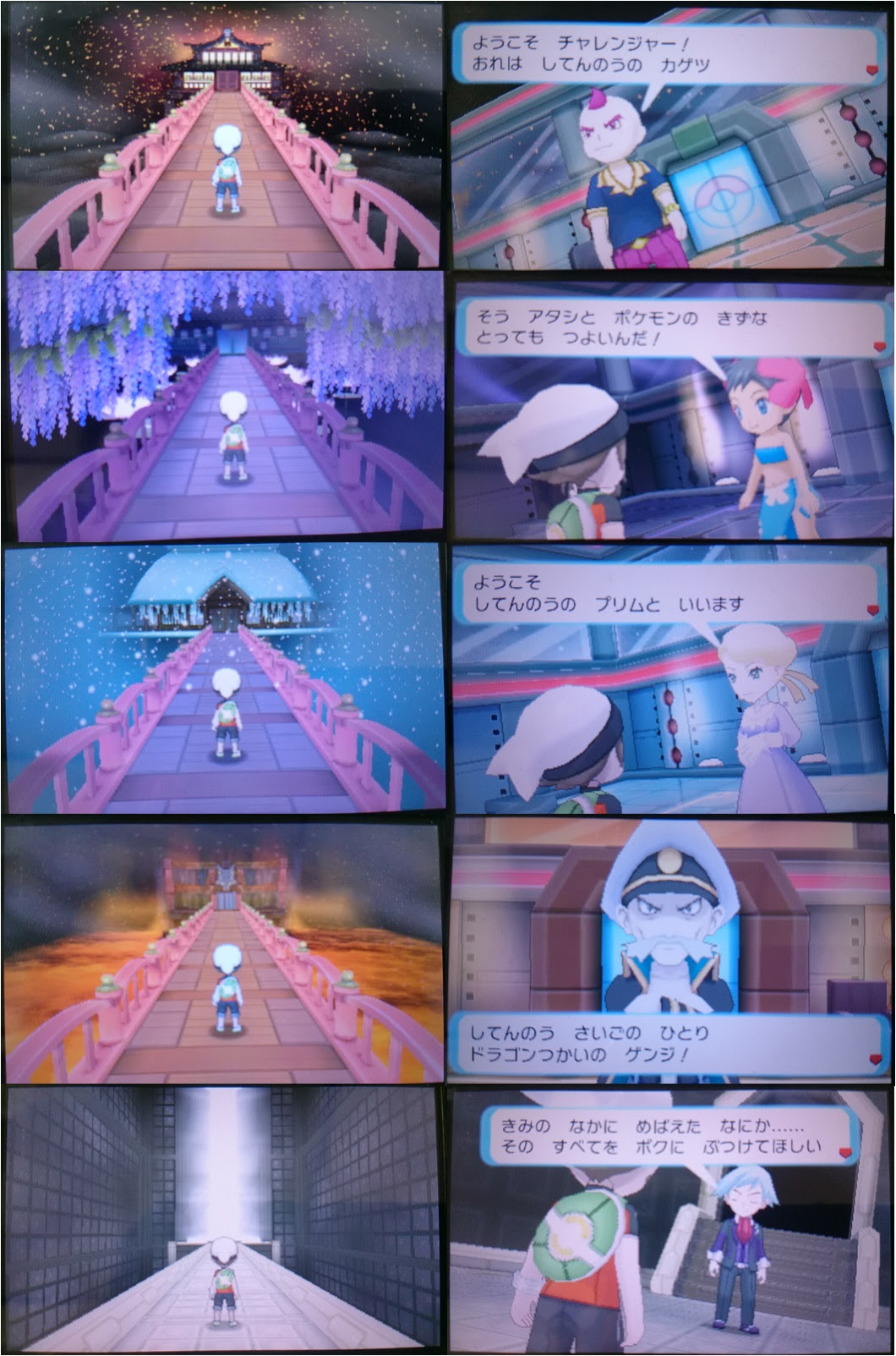 ポケモン Oras 四天王 イメージポケモンコレクション