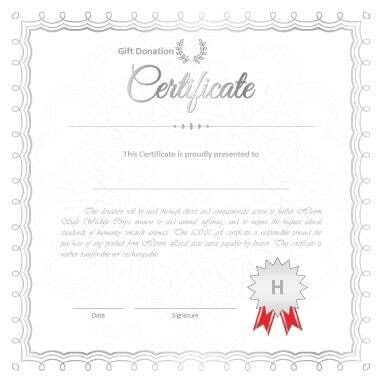 Editable Lego Certificate Template : Wedding Gift ...