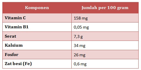 Cara Membuat Es Potong Lapis Coklat Resep Masakan Tips 