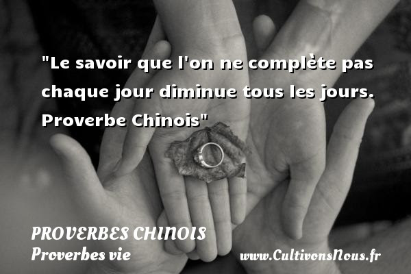 Citations Damour Melancolie Best Citations D Amour