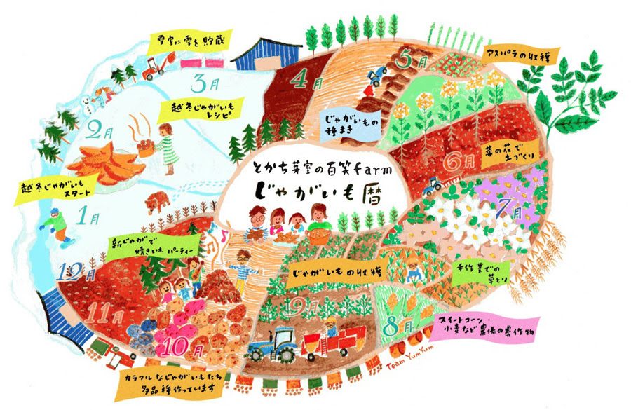 最新のhdかわいい じゃがいも 畑 イラスト ただのディズニー画像
