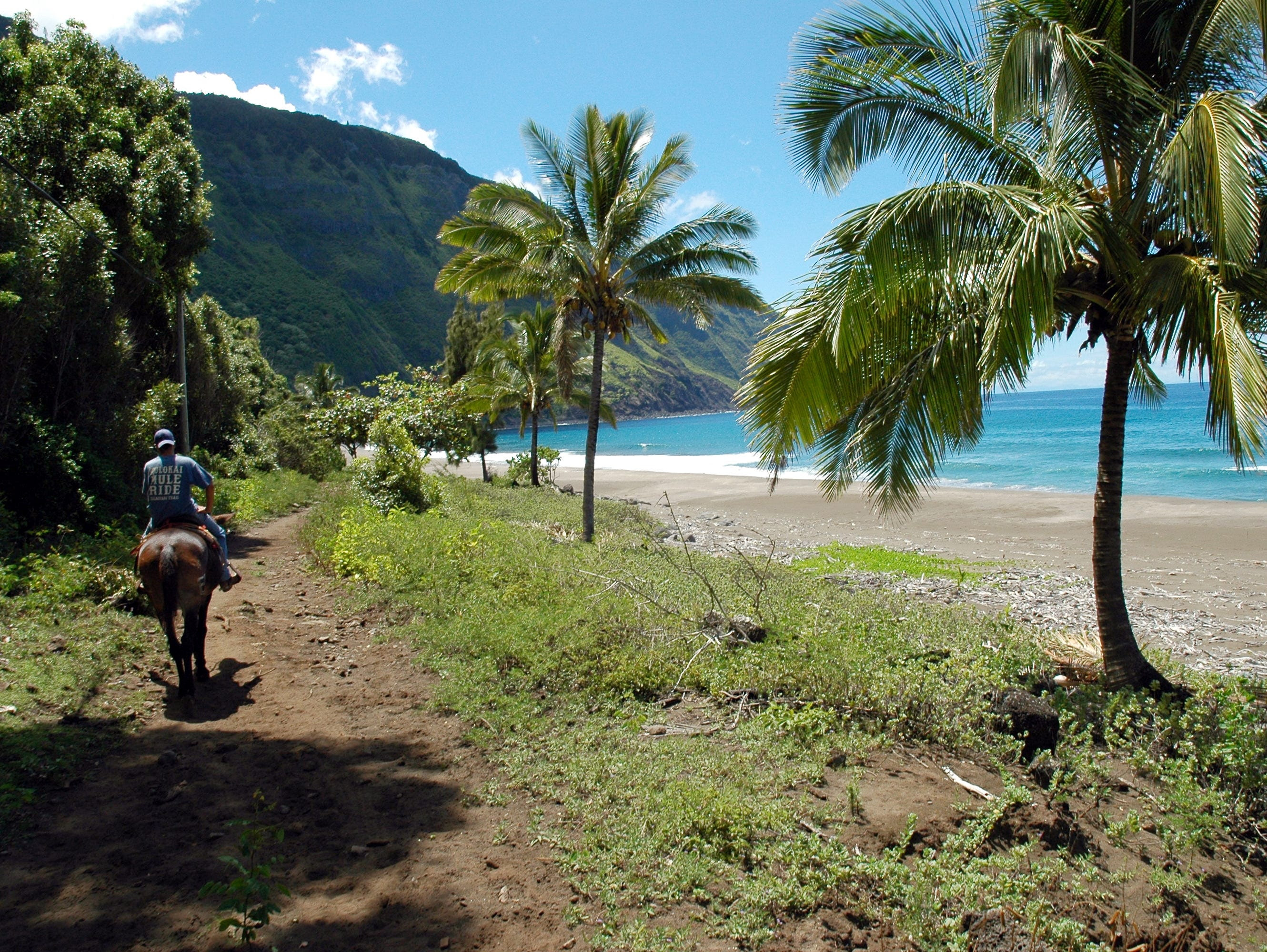 Molokai is a haven for backpackers, snorkelers and tourists seeking truly off-the-beaten-path experiences with plenty of traditional Hawaiian flair.