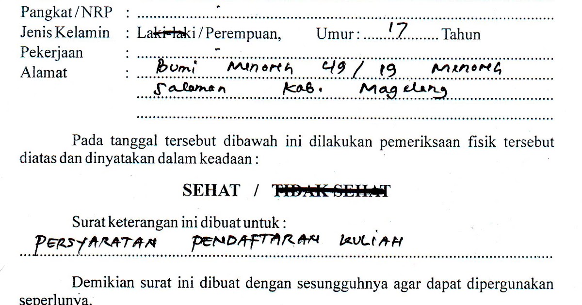 Contoh Iklan Usaha Spekulatif - Surat Box