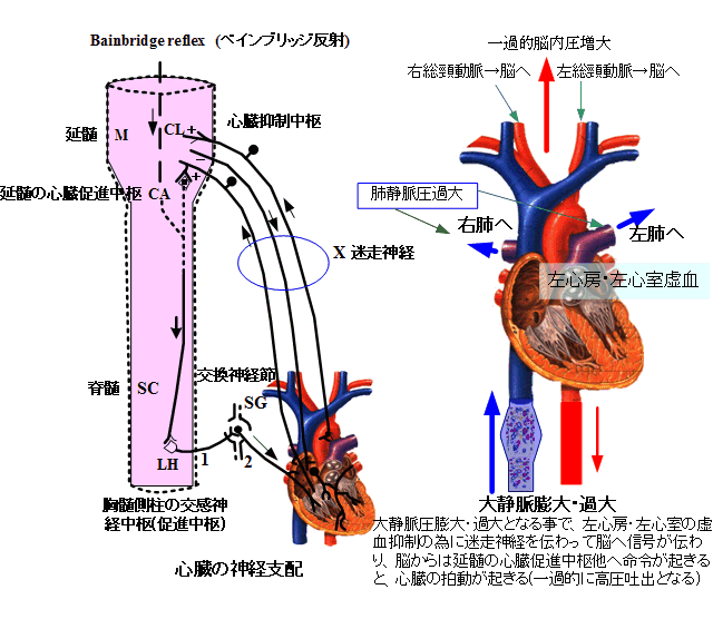 画像 ベイン ブリッジ 反射 Googlejpgazo