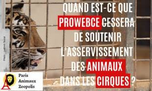 Pour que PROWEBCE arrête de proposer des places subventionnées de cirques avec animaux