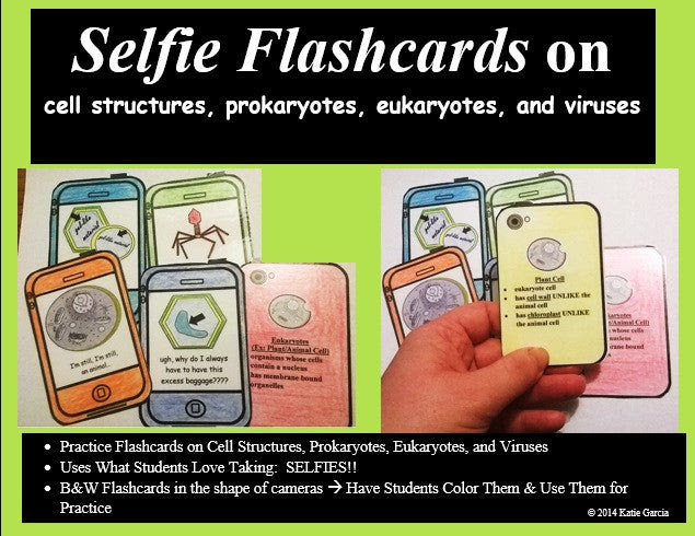This can be examined using an electron microscope. Cell Organelles Flashcards Mrs G S Classroom