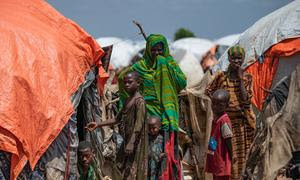 Decenas de miles de personas se han visto obligadas a desplazarse en Somalia.