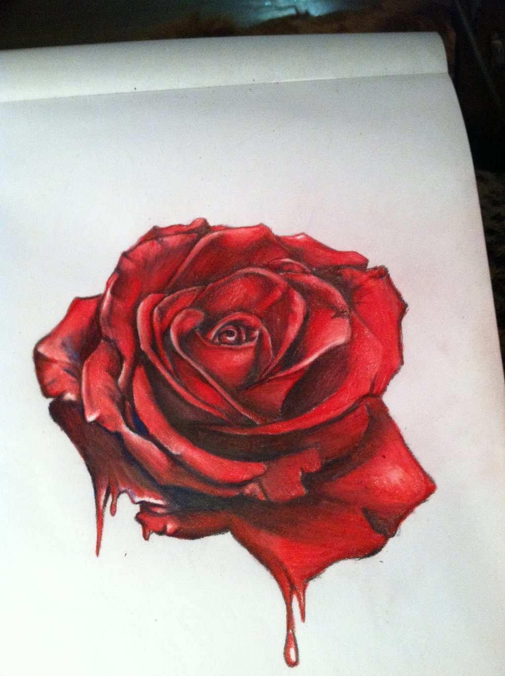 Sketsa Bunga Gambar Lukisan Bunga Mawar Dari Pensil