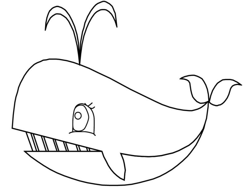 21 Gambar Kartun Ikan Paus Hitam Putih  Gambar  Kartun 