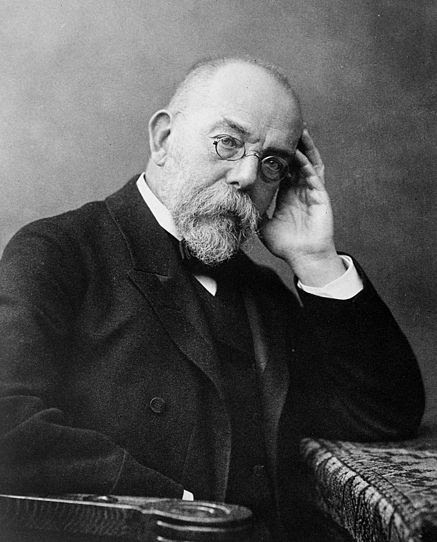 Ficheiro:Robert Koch.jpg