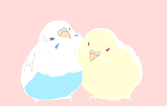 最高のスマホ インコ イラスト 壁紙 最高の花の画像