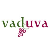 Vaduva