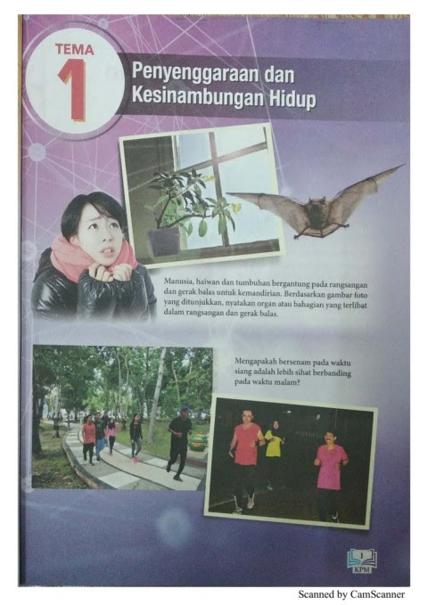 Bahasa melayu (bm), bahasa inggeris, matematik, sains, pendidikan islam, sejarah, geografi. Sains Tingkatan 3