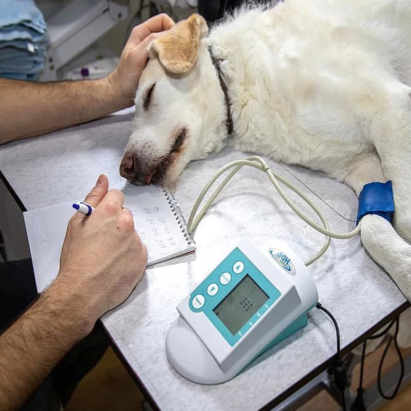 Check spelling or type a new query. Sunrise Pet Clinic 24 7 Available Service For All Pet Animals