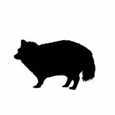 50 素晴らしいたぬき イラスト フリー かわいいディズニー画像