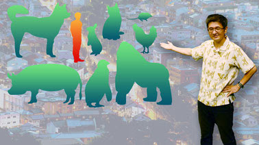 Introduction to Animal Ethics