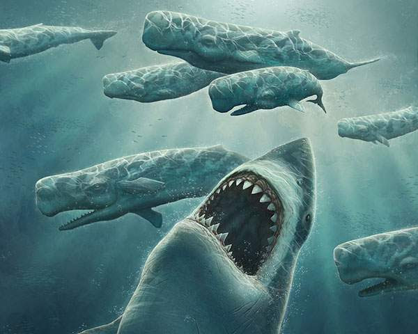 ダウンロード オシャレ 魚 イラスト リアル 最高の新しい壁紙aahd