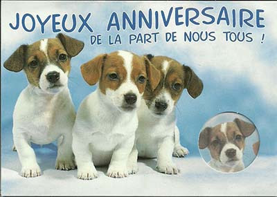 Carte Anniversaire Humoristique Animaux Coleteremelly Blog