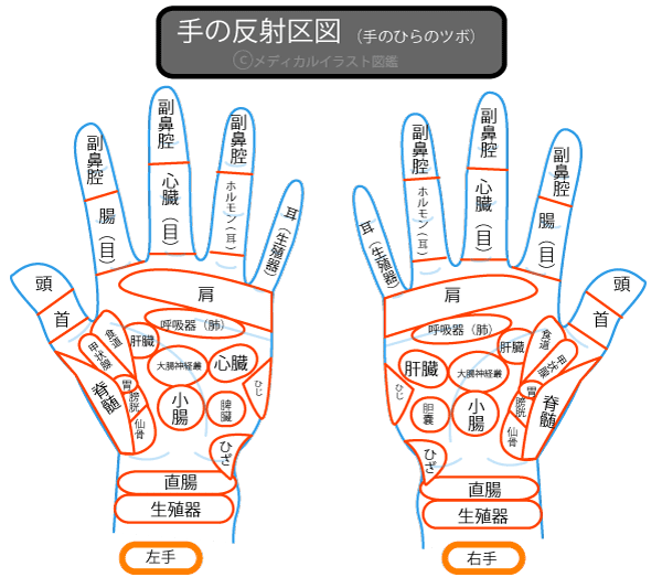 Kasword 左手 手 ツボ 一覧